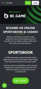 The World of Bc.G Understanding Online Gaming